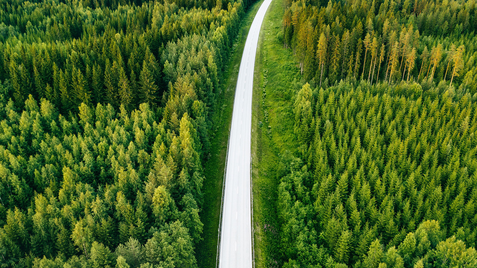 Homepage_banner_1_aerial-view-from-above-of-country-road-through-the-2021-08-26-16-00-56-utc_EDIT