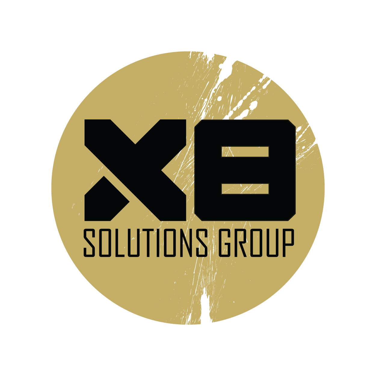 Logos-300X300_X8 SG