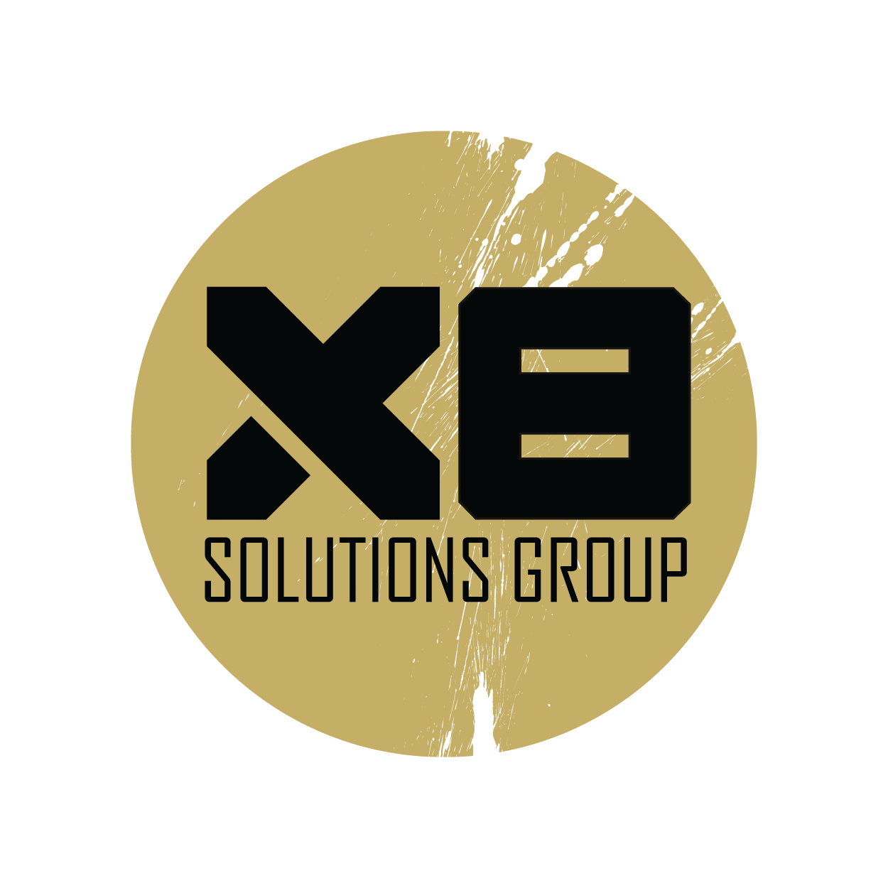 Logos-300x300_X8