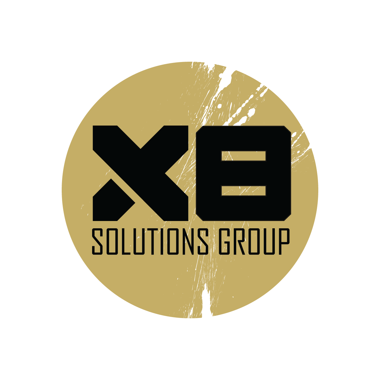 Logos-300x300_X8